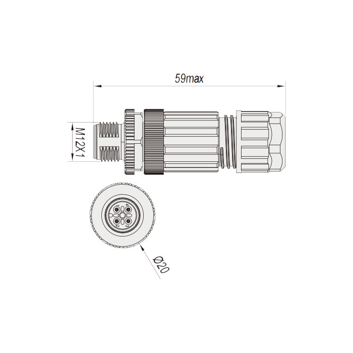 M12 4Pin、Male straight to two free ends、Food grade、Straight plug-in、 Y-type splitter、64FY29