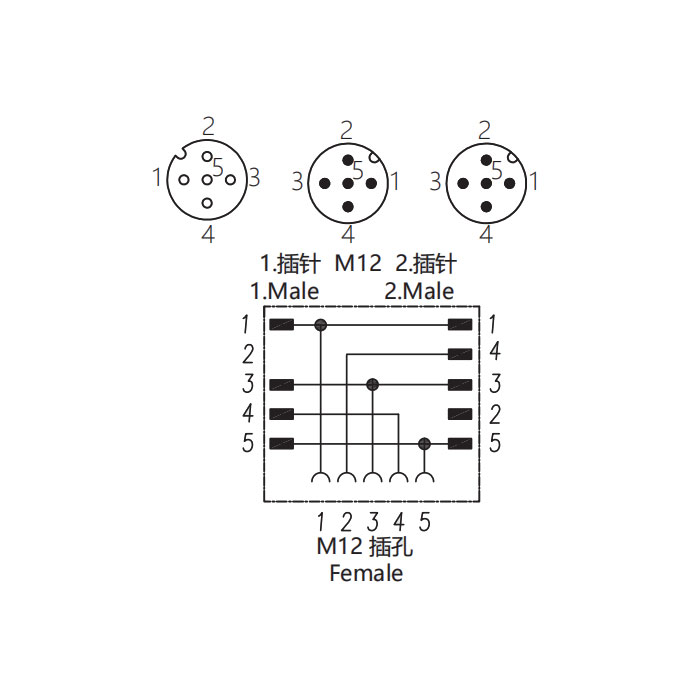 M12 5Pin母头/2M12 5Pin公头、三通接头、644446