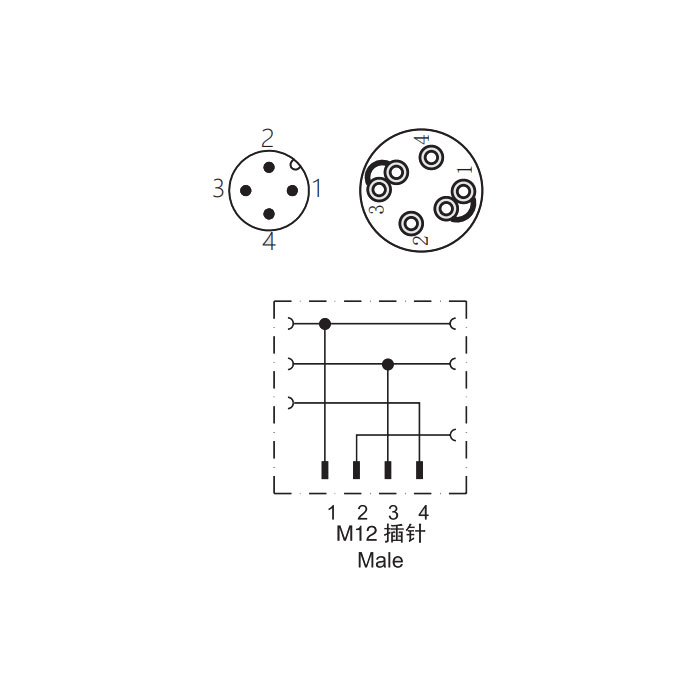 M12 4 Pin、Straight male、Push-in terminal、Y type splitter、64FX21