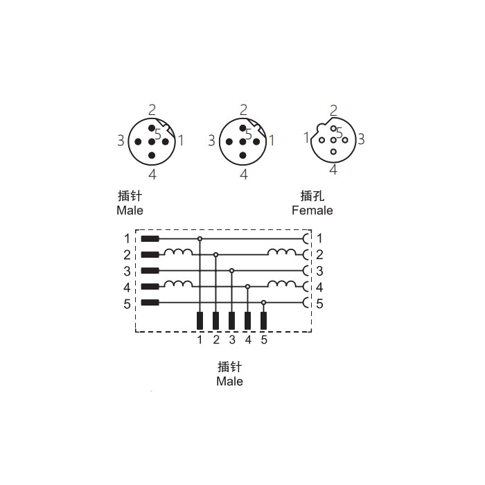 M12 5 Pin male/2M12 5 Pin female 、​B-coded 、T-connector、0C5555