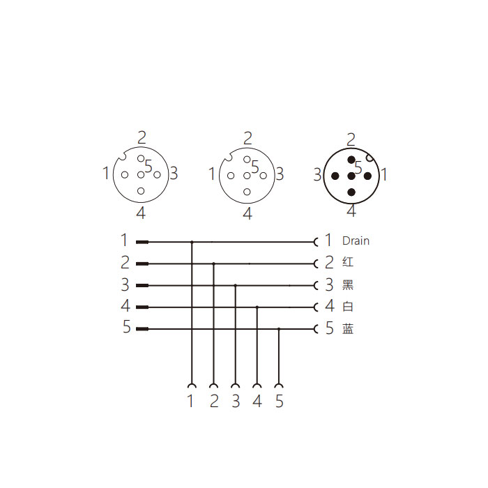 M12 5Pin公头/2M12 5Pin母头、T型连接器、0C4555