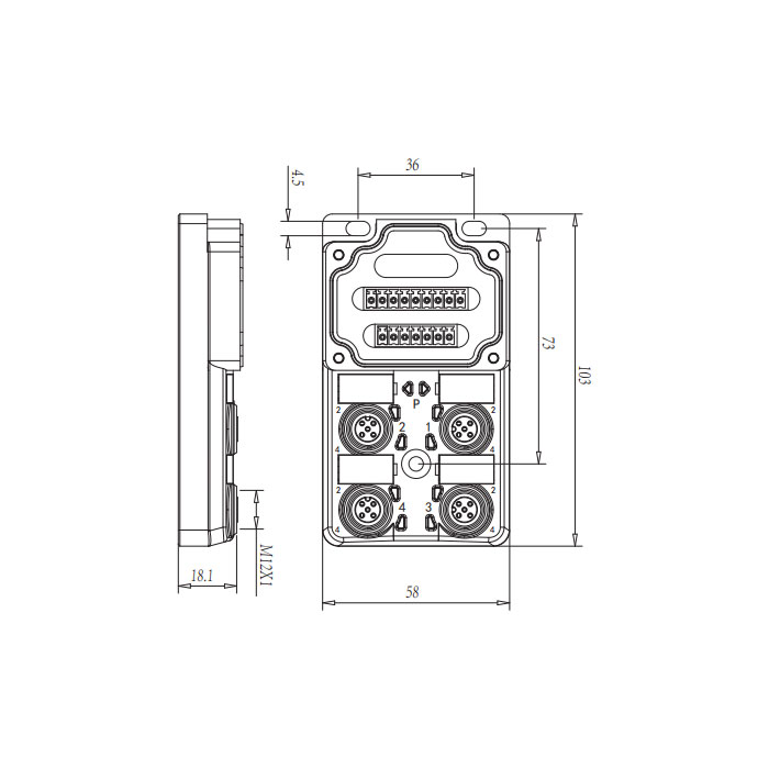 M12 dual channel、PNP、4 port、With LED、PCB terminal、Split type、24P40G