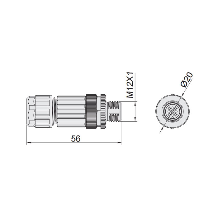 M12 4Pin、Male straight、Food grade、Screw connection、64F129