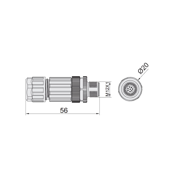 M12 8Pin、Male straight、Food grade、Screw connection、64F389