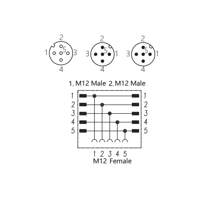 M12 5Pin female/2M12 5Pin male、Y-connector、644456